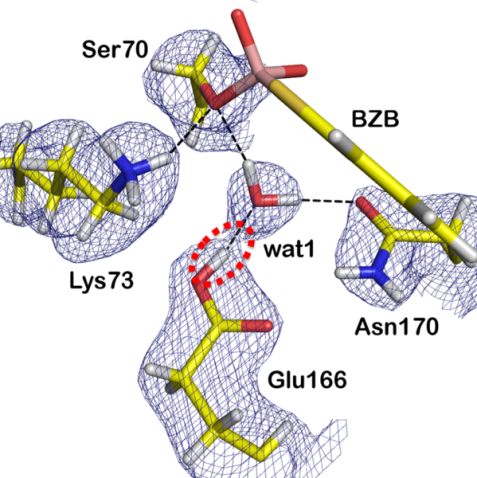 Neutron structure analysis of beta Lactamase
